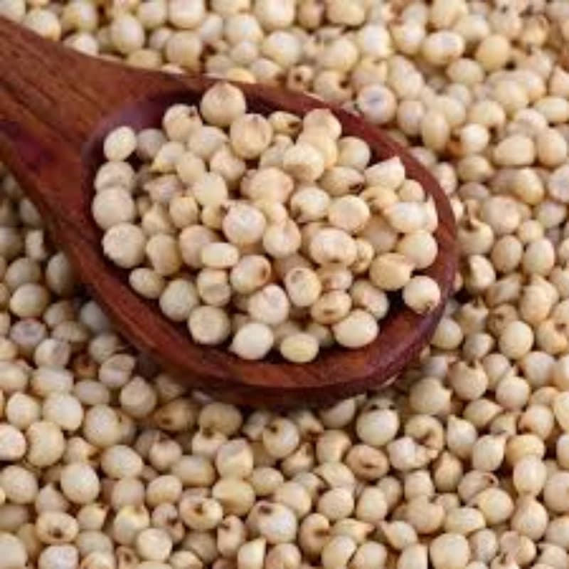Jowar