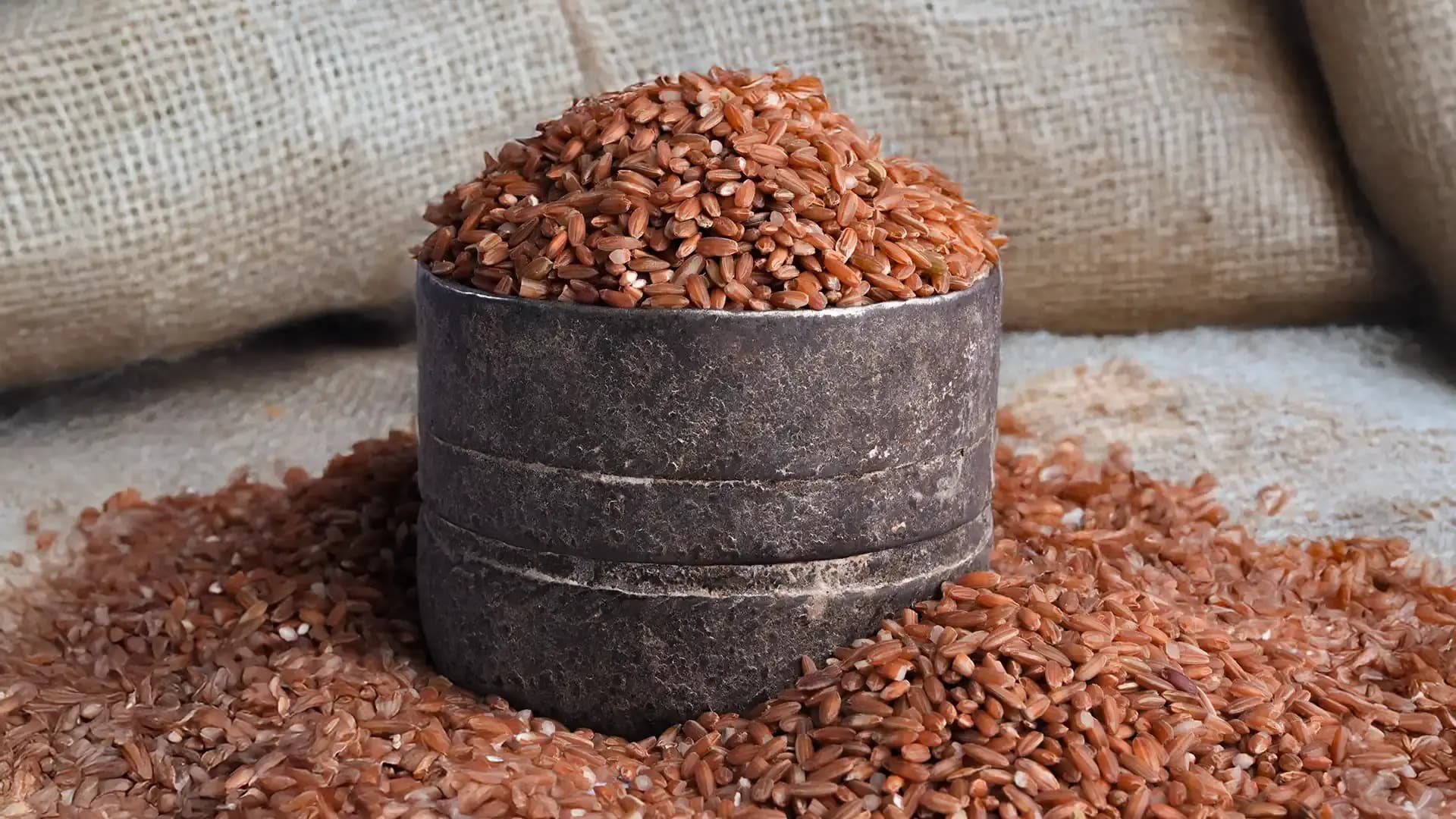 Navara Rice